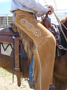 Cutting horse show chaps